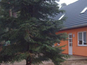 Ferienhaus Jägerswalde, Mühl Rosin